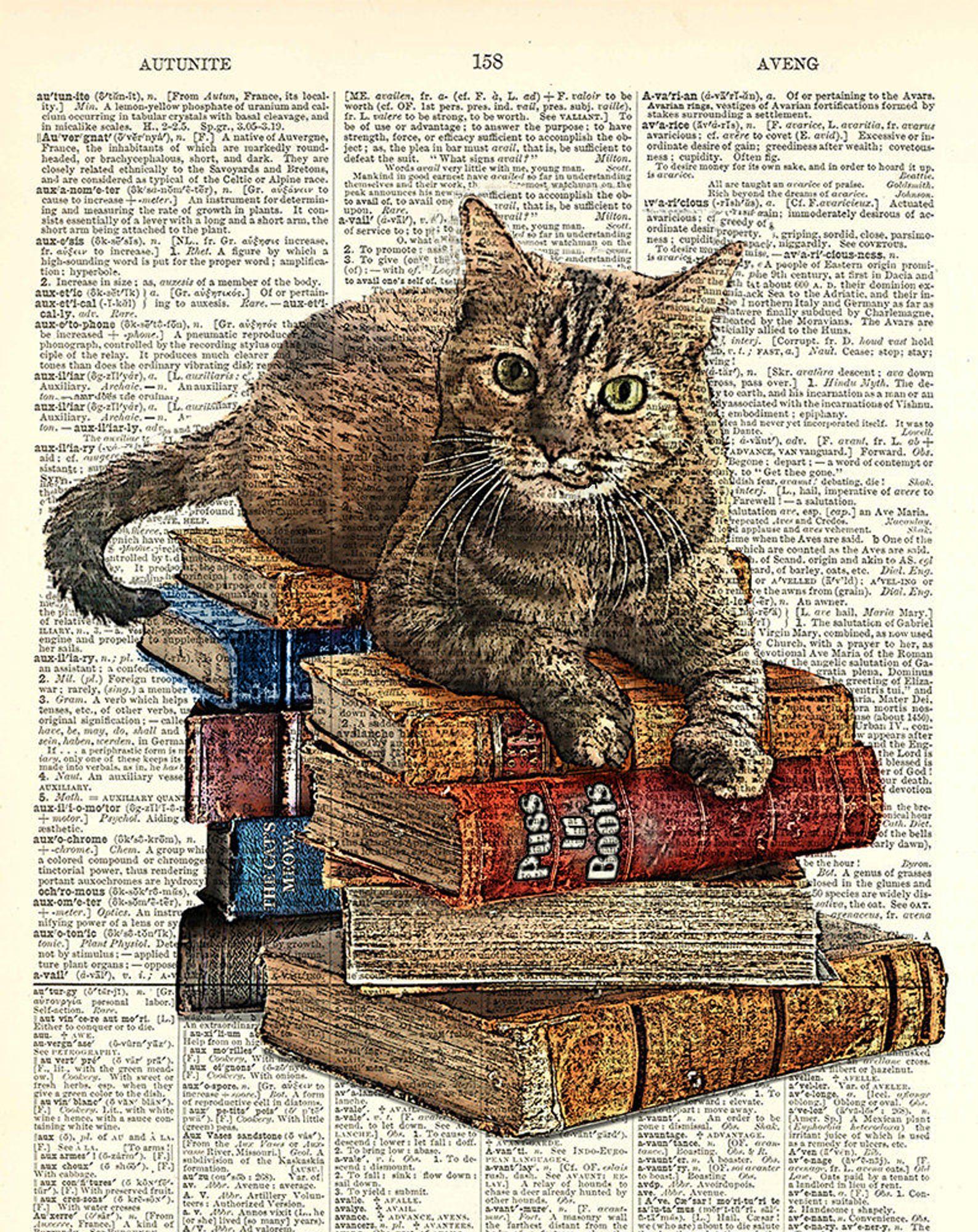 kittybooks.jpg